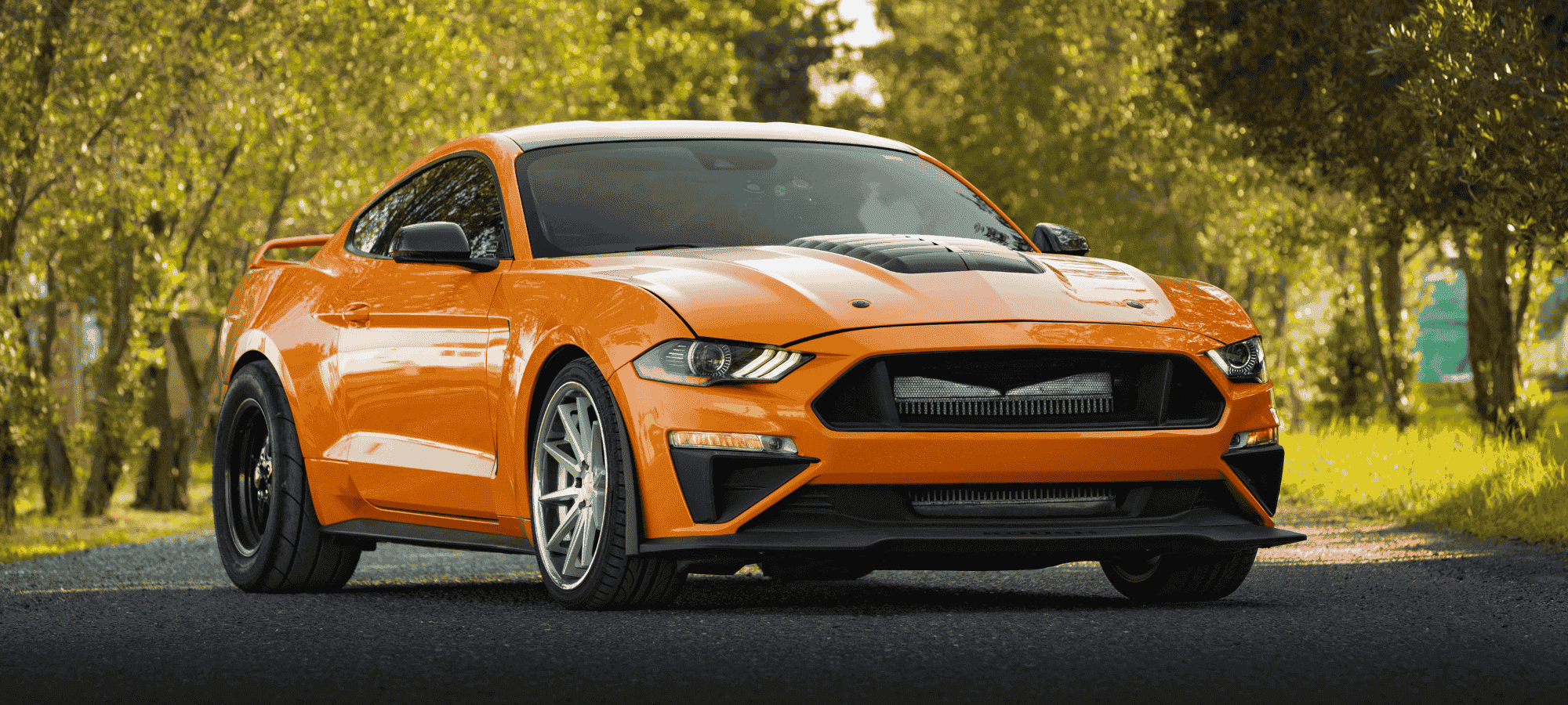 Rent Luxury Cars
